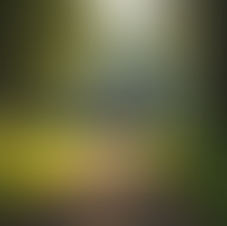 Healing and Growth: Girls’ Retreats Designed for You