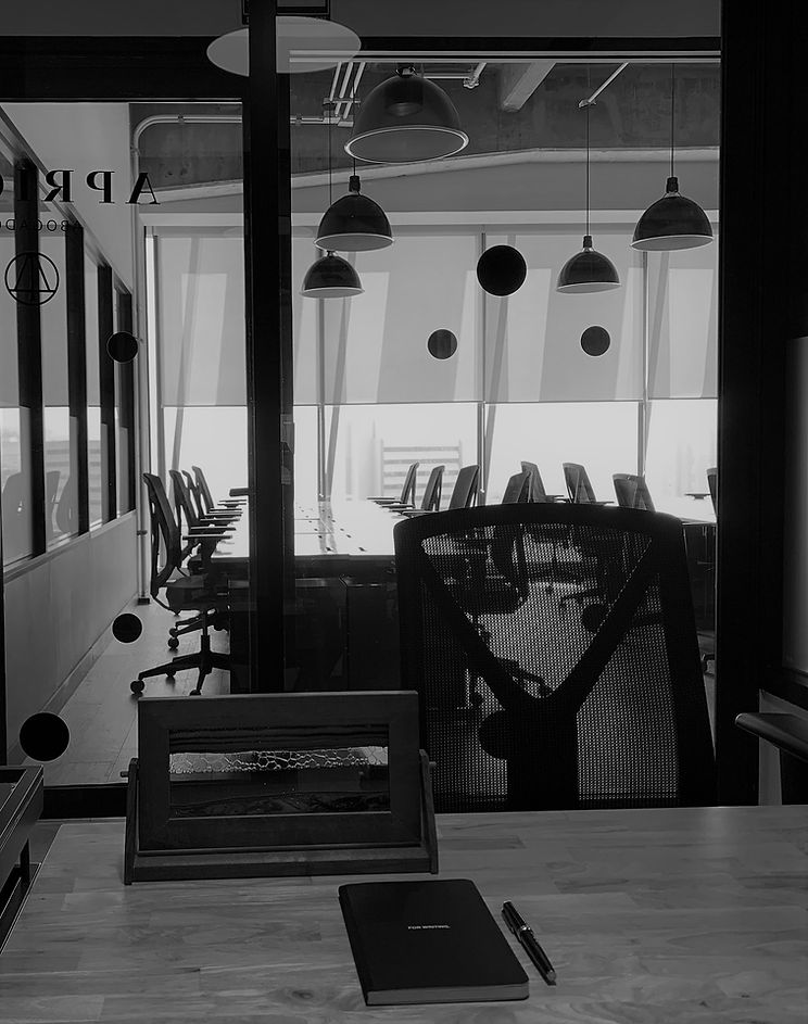 IMG_9987 blanco y negro.jpg