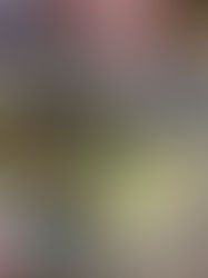 Waffles Salados con Paté de Zanahorias: Tu Nuevo Desayuno Favorito