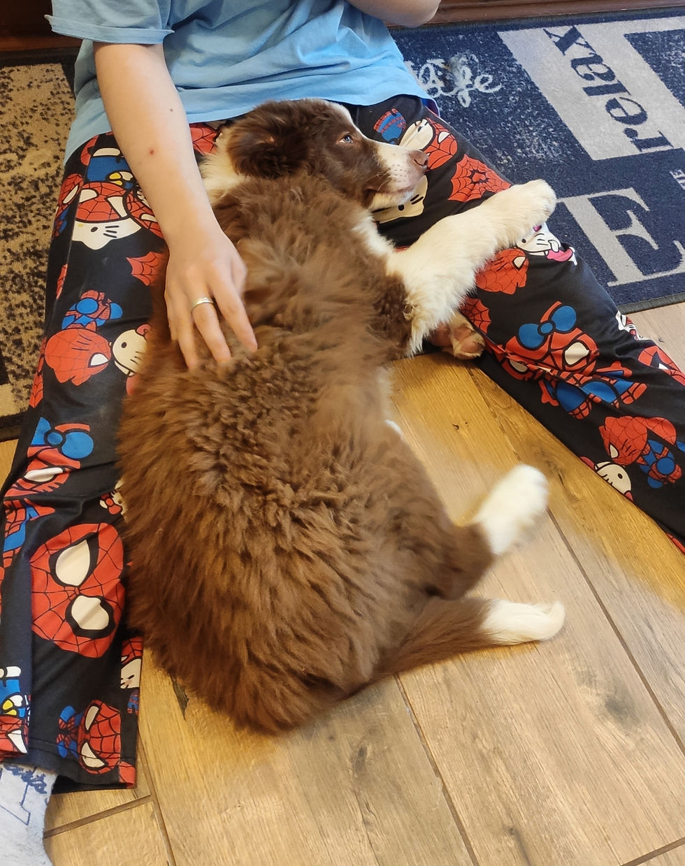 schmusen nach dem aufregenden Tag