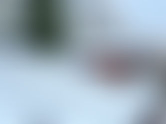 The 5 Signs Your Roof Is not Ready for Winter in North Carolina