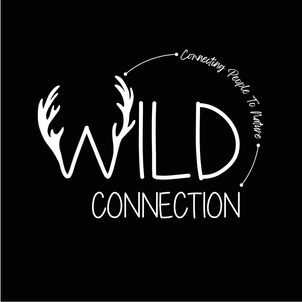 WILDCO_LOGO_01_BLANC.png