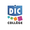 DIC