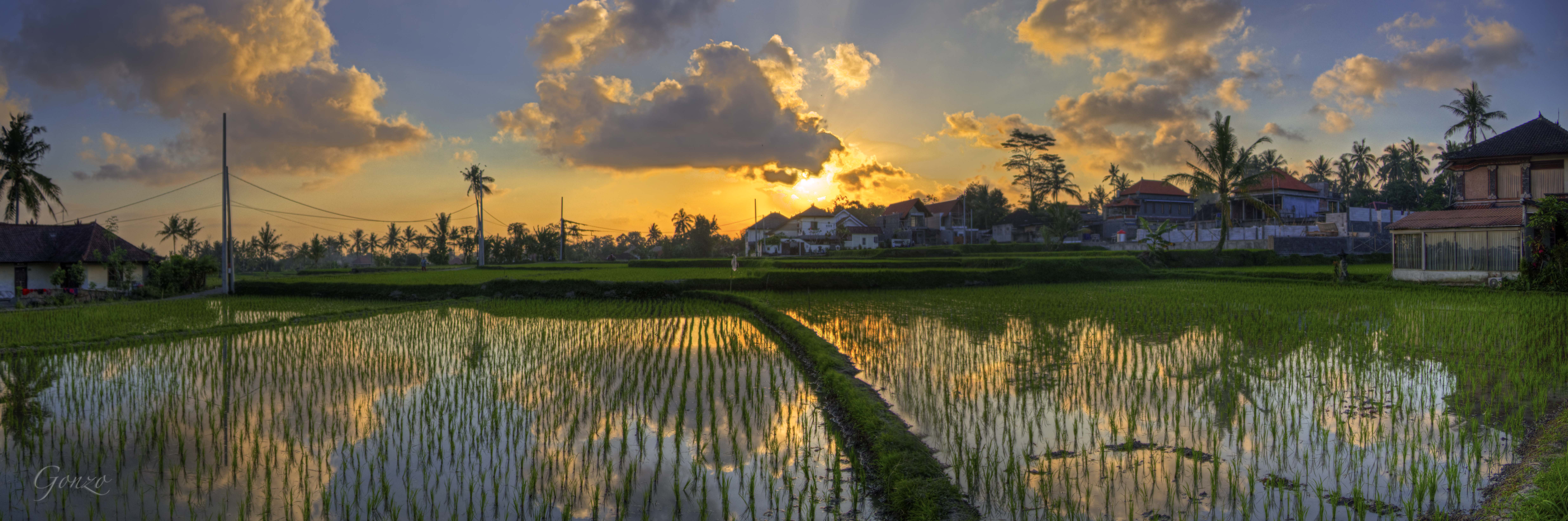 Ubud