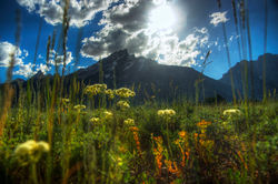 Grand Teton From Below