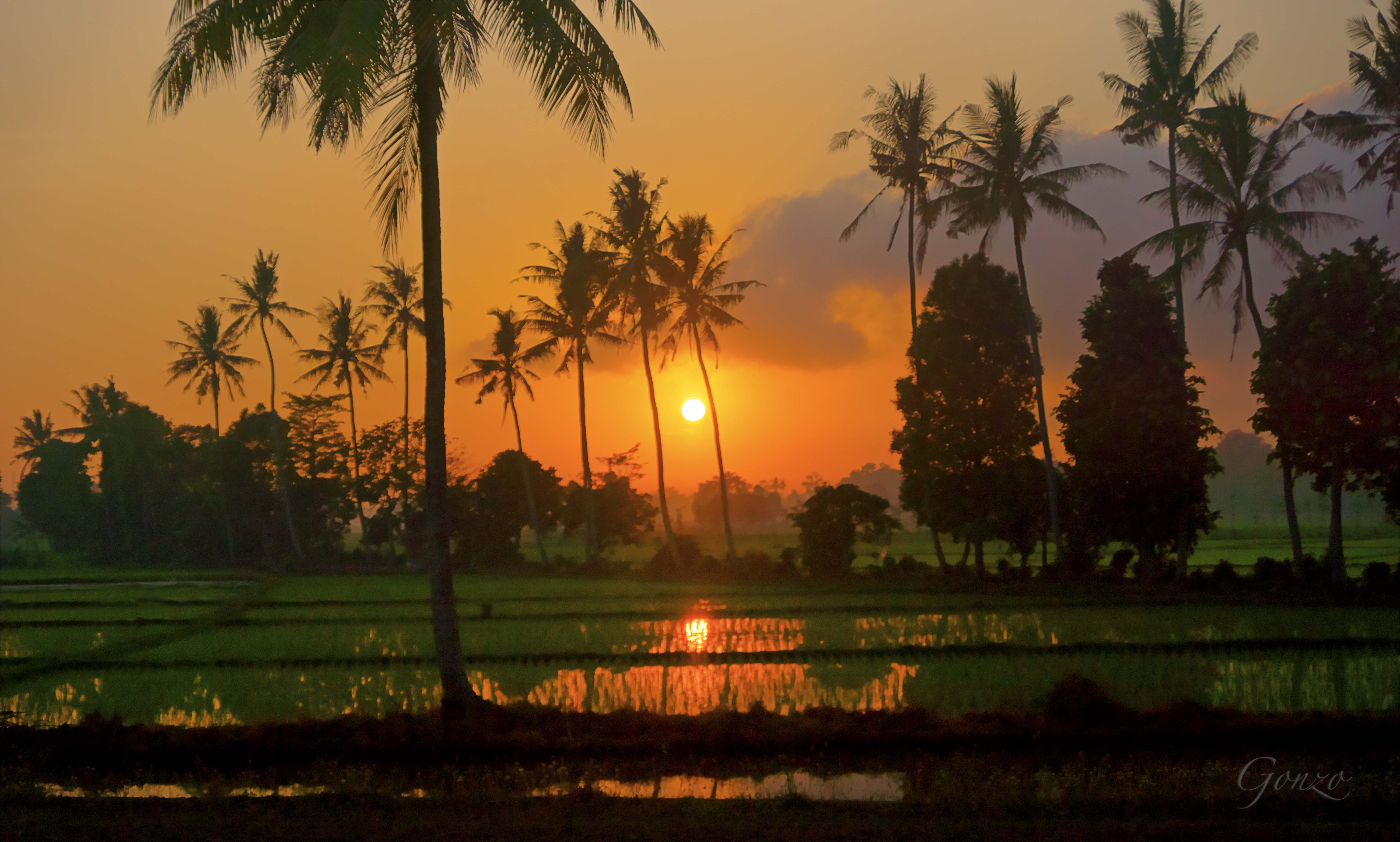 Lombok