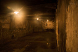 Gas Chambers Auschwitz