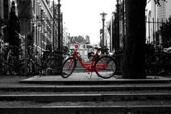 Bicycle Amsterdam