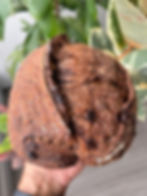 Pão de Chocolate