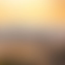 A 8 días de España: ¡corazón agradecido!