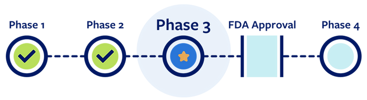 Phases of etavopivat getting approved. It's currently on phase 3, right before FDA Approval.