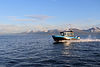 IMG_1617.JPG