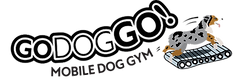 Logo No Background
