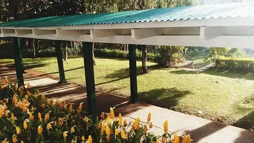 techar patio sin perder luz