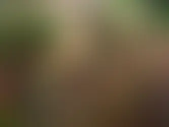 cerramientos para jardin