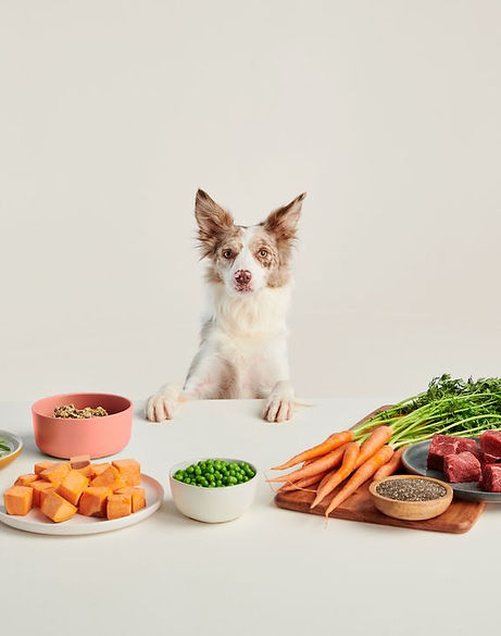 How To Make Simple, Safe Jerky Treats for Your Dog.jpg