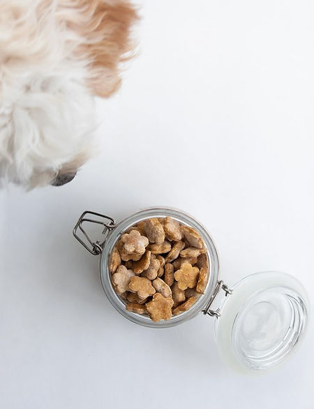 Carrot Dog Biscuits Recipe _ Elephantastic Vegan.jpg