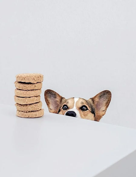 Freeze-Dried Raw Dinner Patties - Stella & Chewy's Pet Food.jpg