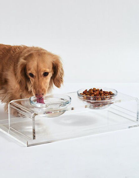 Modern & Contemporary Glass Dog Bowl _ AllModern.jpg