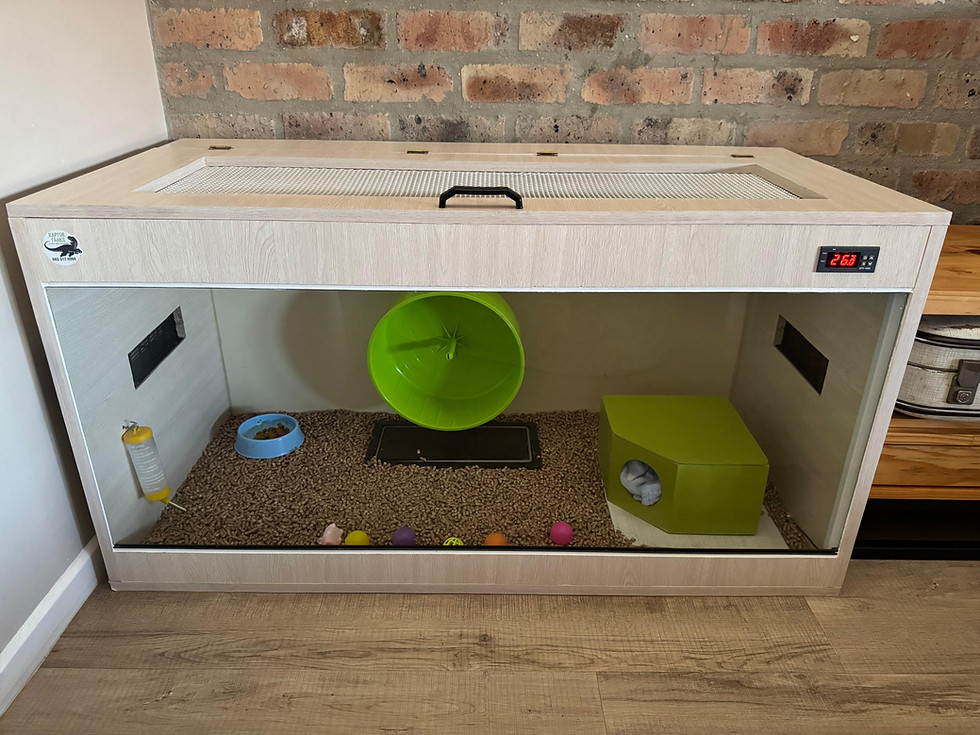 Thumbnail: Hedgehog Enclosures