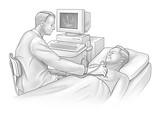p2_HeartUltrasound_HH1708_SL.jpg