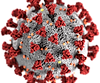 800px-SARS-CoV-2_without_background.png