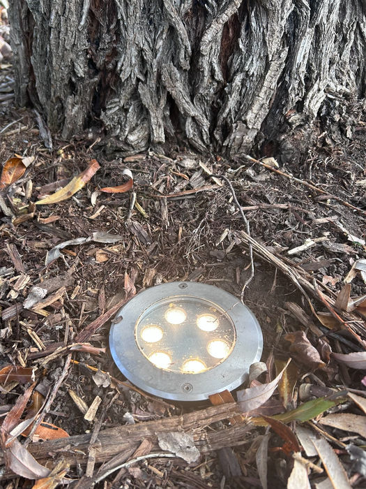 lights