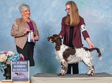 Aleah - 1st points (Feb 2023)_edited_edi