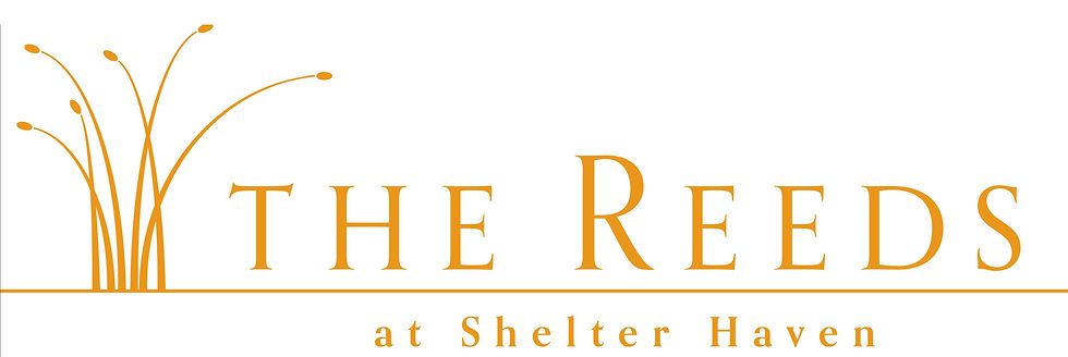 The Reeds at Shelter Haven