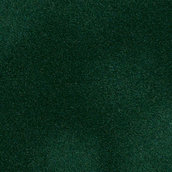 Forest125