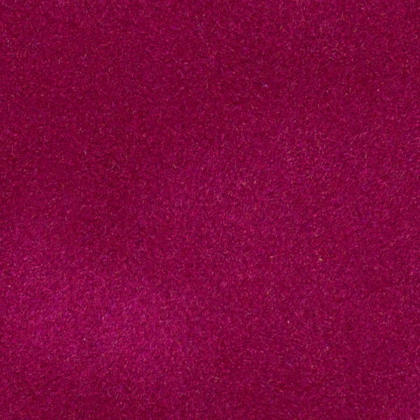 Fuchsia51