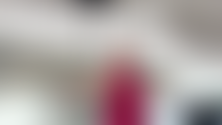 The Heart of Lakeshore Recreation - Ann Mackay