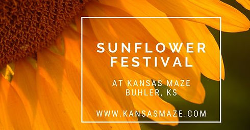 Sunflower pic.jpg