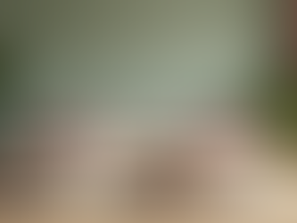 Transform Your Space with Expert Color Consultation Services