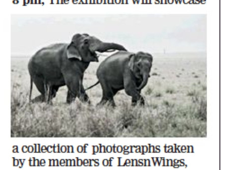 Exhibition details published in the Times of India, Kolkata