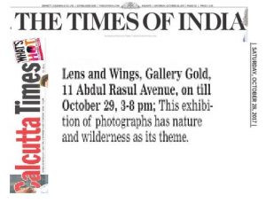 Featured Campaigns for 1st Photography Exhibition