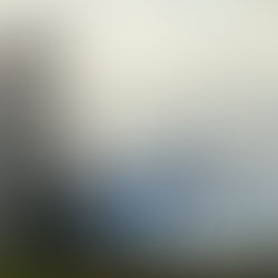 Welcome To North Tryon Presbyterian Church!