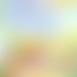 Mali - Gwawr Edwards