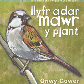 Llyfr adar mawr y plant - Onwy Gower