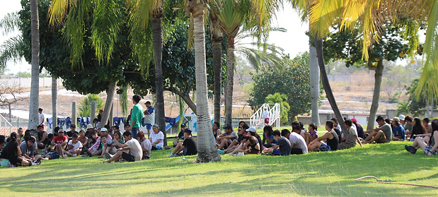 IMG_4213 (1)_edited.png