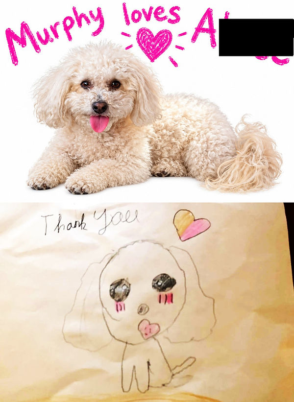 Murphy loves Alizee 2.jpg