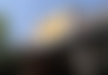 Cracker Barrel Pulls New Logo After Customer Pushback