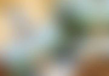 ‘Gender Queer’ Tops List of Most Challenged Books for a Second Year