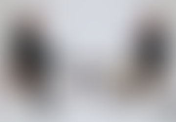 Tucker’s Interview With Elon Is Required Viewing for Everybody