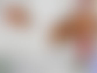 White House Memo Exposes Democrats’ History of Pushing Health Care for Illegals