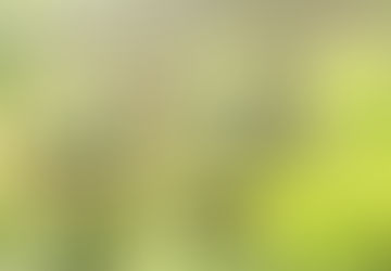 Karma Comes Calling for John Bolton