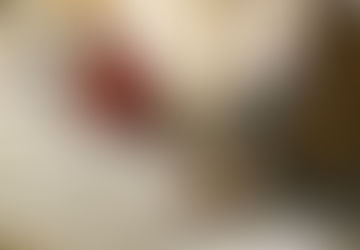 Election Results Likely to Be Delayed Nationwide by State Rules, Litigation, and Investigations