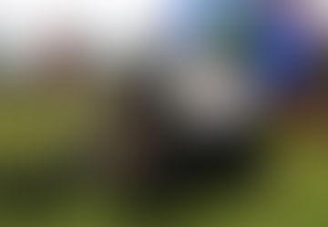 LA Dodgers Blasted For Giving 'Community Hero' Award To the 'Sisters of Perpetual Indulgence'