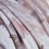 Thumbnail: 850TC Egyptian Long-Staple Cotton Fabric -Haileanna
