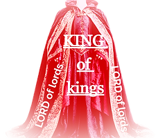 majestic-medieval-robe-exquisite-ensembl